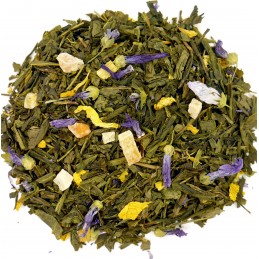Kaktusowa