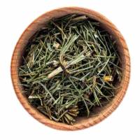 Herbata ze skrzypem polnym: Naturalny eliksir zdrowia i piękna